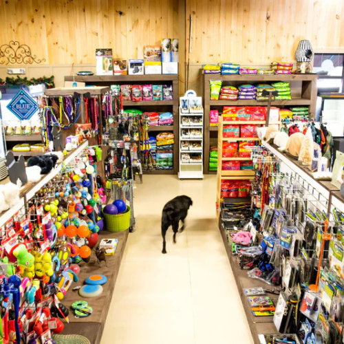 Inside of Thomaston Healthy Pet
