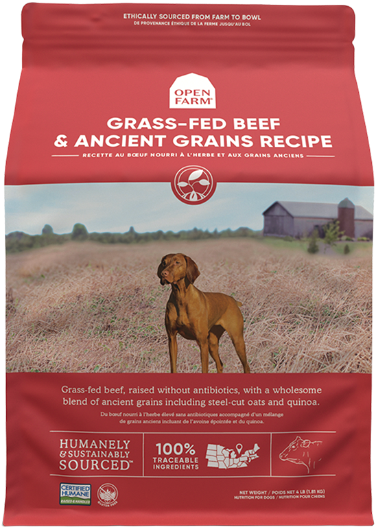 Open Farm Grass-Fed Beef & Ancient Grains Dry Dog Food