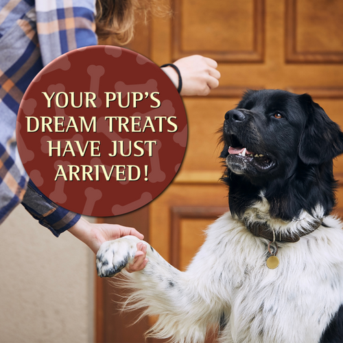 Zignature Venison Soft Moist Treats for Dogs