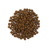 GO! Skin + Coat Care Large Breed Puppy Salmon Recipe With Grains