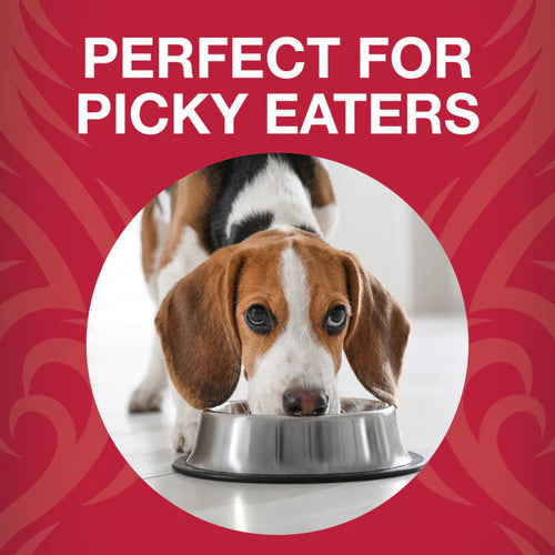 Koha Freeze-Dried Raw Bites Beef Entrée for Dogs