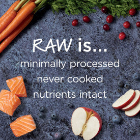 Nature's Variety Instinct Raw Boost Salmon Recipe Dry Dog Food