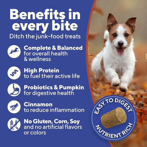 Dave's Digesti-Bites Chicken, Rice & Pumpkin Dog Treats