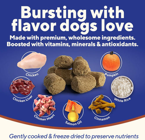 Dave's Digesti-Bites Chicken, Rice & Pumpkin Dog Treats