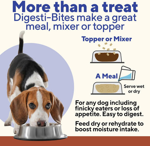 Dave's Digesti-Bites Chicken, Rice & Pumpkin Dog Treats