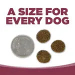 NutriSource® PureVita™ Salmon & Kale Entrée Limited Ingredient Dog Food