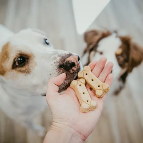 Wholesomes™ Rewards Medium Original Dog Treats