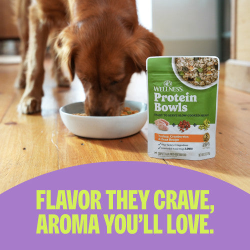 Wellness Protein Bowls Duck, Sweet Potato & Cranberries Wet Dog Food