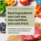 Instinct FreshRaw Meals Recipe Sampler Adult Dog Food