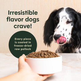Nature's Variety Instinct Original Salmon Dry Dog Food