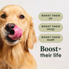 Nature's Variety Instinct® RawBoost™High-Protein Chicken Dry Dog Food