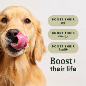 Nature's Variety Instinct® RawBoost™High-Protein Chicken Dry Dog Food