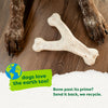 Benebone Green Wishbone Plant-Based Dog Toy for Moderate Chewers