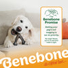 BENEBONE Wishbone Pumpkin Spice