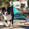Nulo Freeze-Dried Raw Chicken Recipe with Blueberries for Dogs