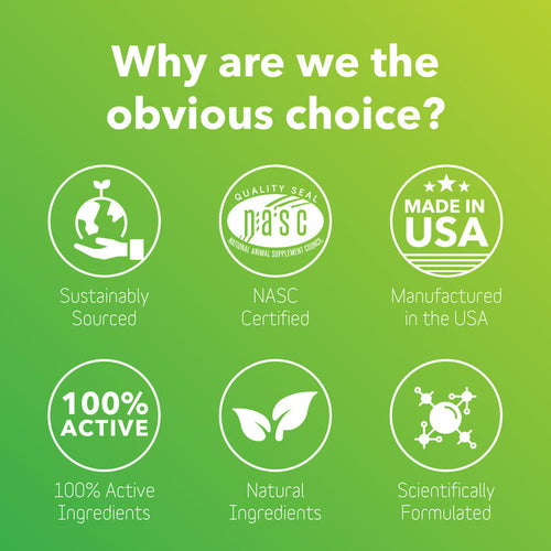 InClover BioResiliant Allergy Powder Supplement for Dogs & Cats